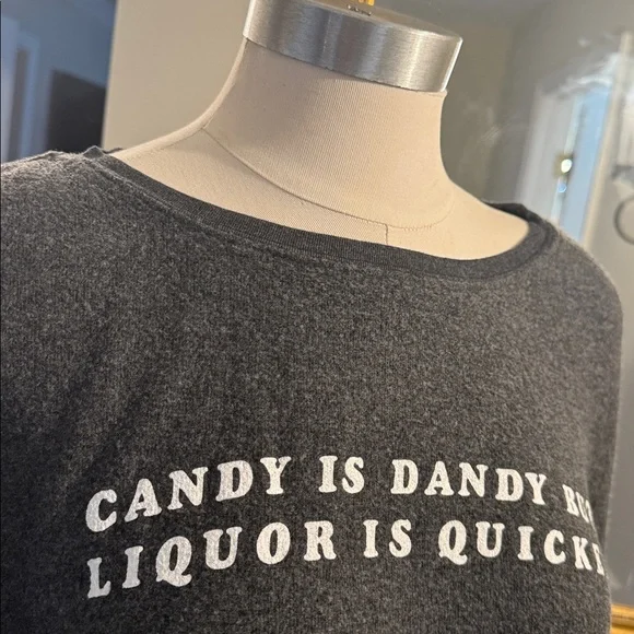 Wildfox Charcoal “Candy is dandy but liquor is quicker” sweatshirt. Large. - Picture 7 of 9